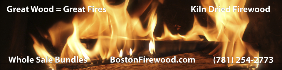 Whole Sale Kiln Dried Firewood Bundles log Burning 960