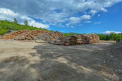 firewood logs small DSC 0188