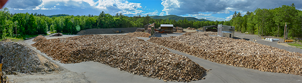 wood yard drying
